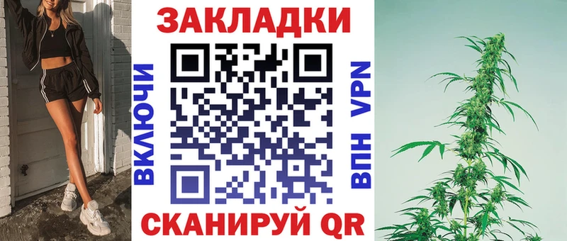 Где купить наркоту Новочеркасск Амфетамин  Бошки Шишки  Alpha-PVP  ТГК  ГАШИШ  Мефедрон 