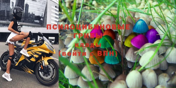 экстази Горняк