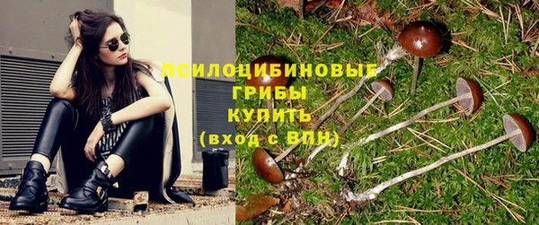 каннабис Горнозаводск